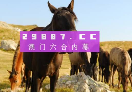 澳门管家婆一肖一码一中一%精选解析解释落实